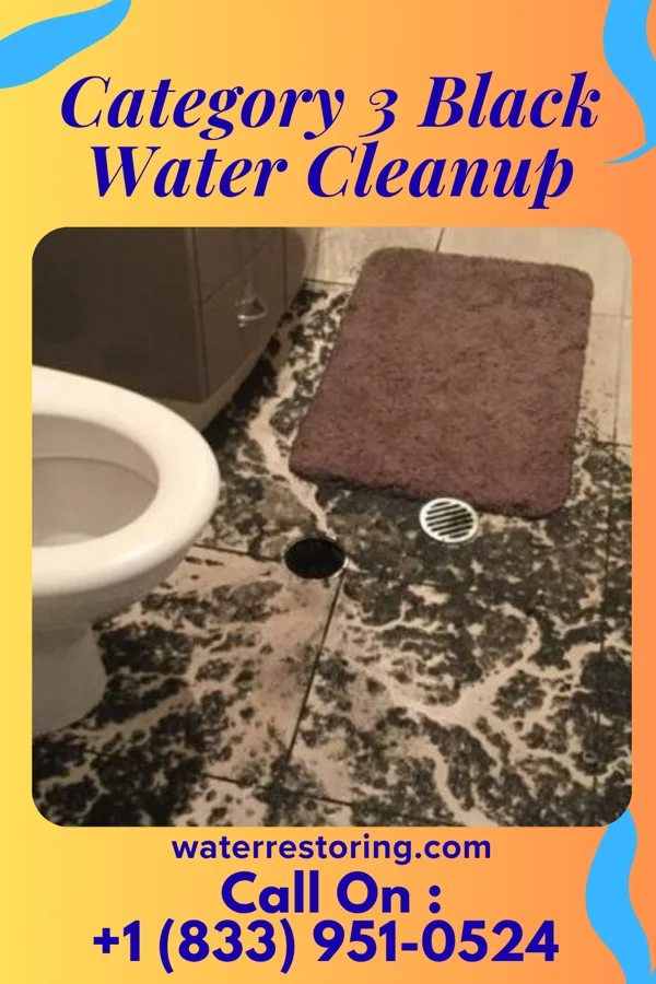 Category 3 Black Water Cleanup in Fairmont, OK