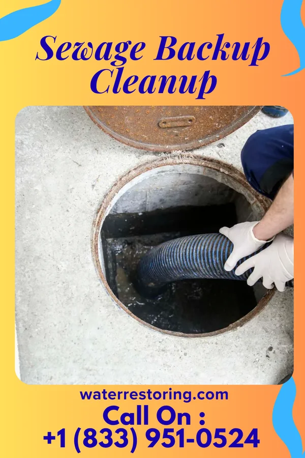 Sewage Backup Cleanup in Fairmont, OK